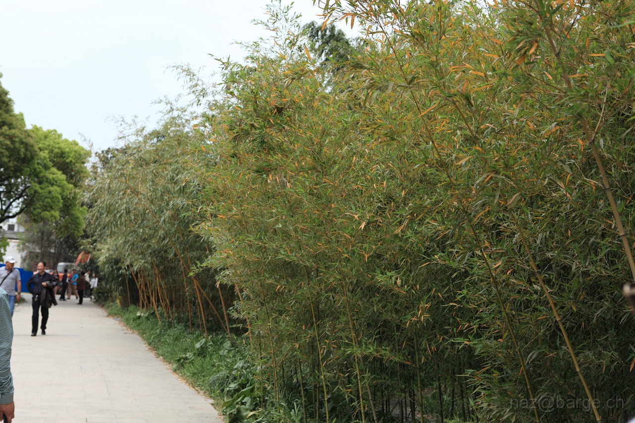 EOS 5D Mark II16_04_20135024.JPG